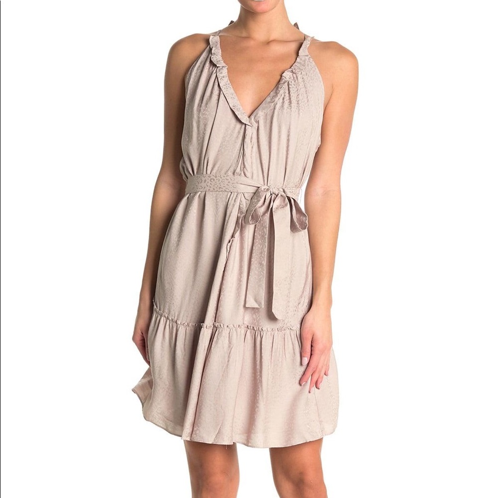 AllSaints Maisie Leopard Dress, Nude Pink NWT